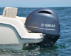 Star Boat Invictus FX200 Cala Dor 32