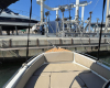 Star Boat Pegazus 460 2