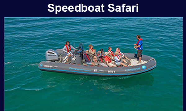 Speedboat Safari-Cala Ratjada