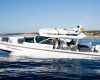 Star Boat axopar 37 sun top brabus line Banner